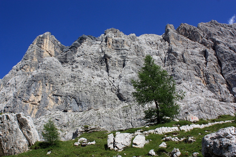 Nel gruppo del Sorapss (Dolomiti)